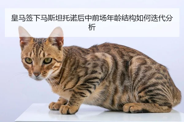 皇马签下马斯坦托诺后中前场年龄结构如何迭代分析
