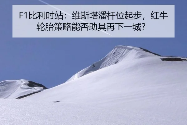 bi-li-shi-zhan-wei-si-ta-pan-gan-wei-qi-bu-hong-niu-lun-tai-ce-lve-neng-fou-zhu-qi-zai-xia-yi-cheng-3-600.jpg
